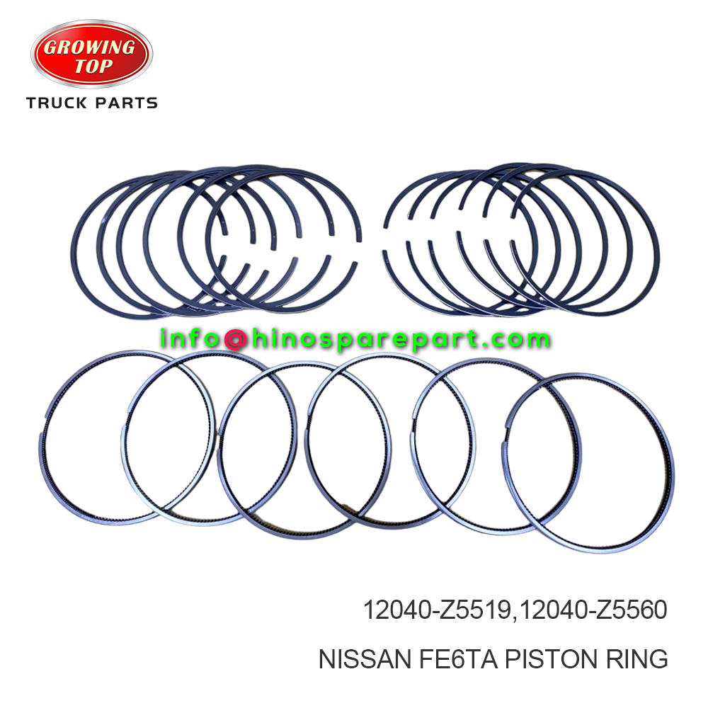 NISSAN FE6TA PISTON RING 12040-Z5519