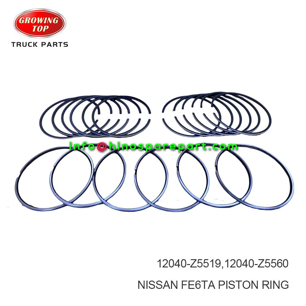NISSAN FE6TA PISTON RING 12040-Z5519